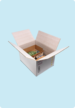 CAJAS CON SOLAPAS-Nov-04-2025-02-41-16-0480-PM