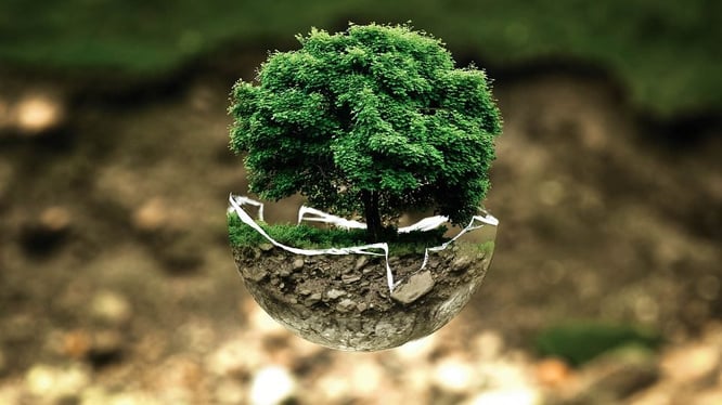 Las propiedades del cartón que favorecen al medio ambiente