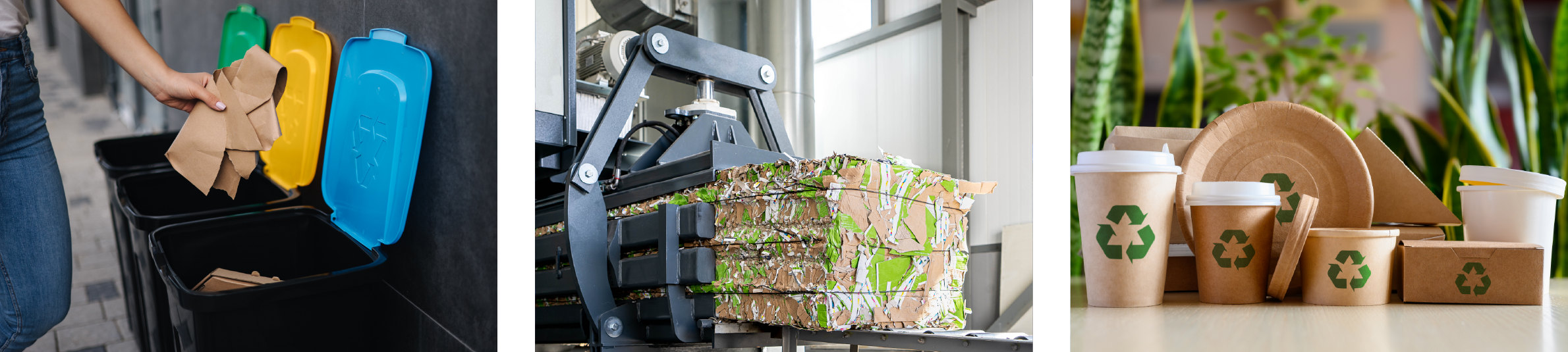 blog-font-porexcarton3