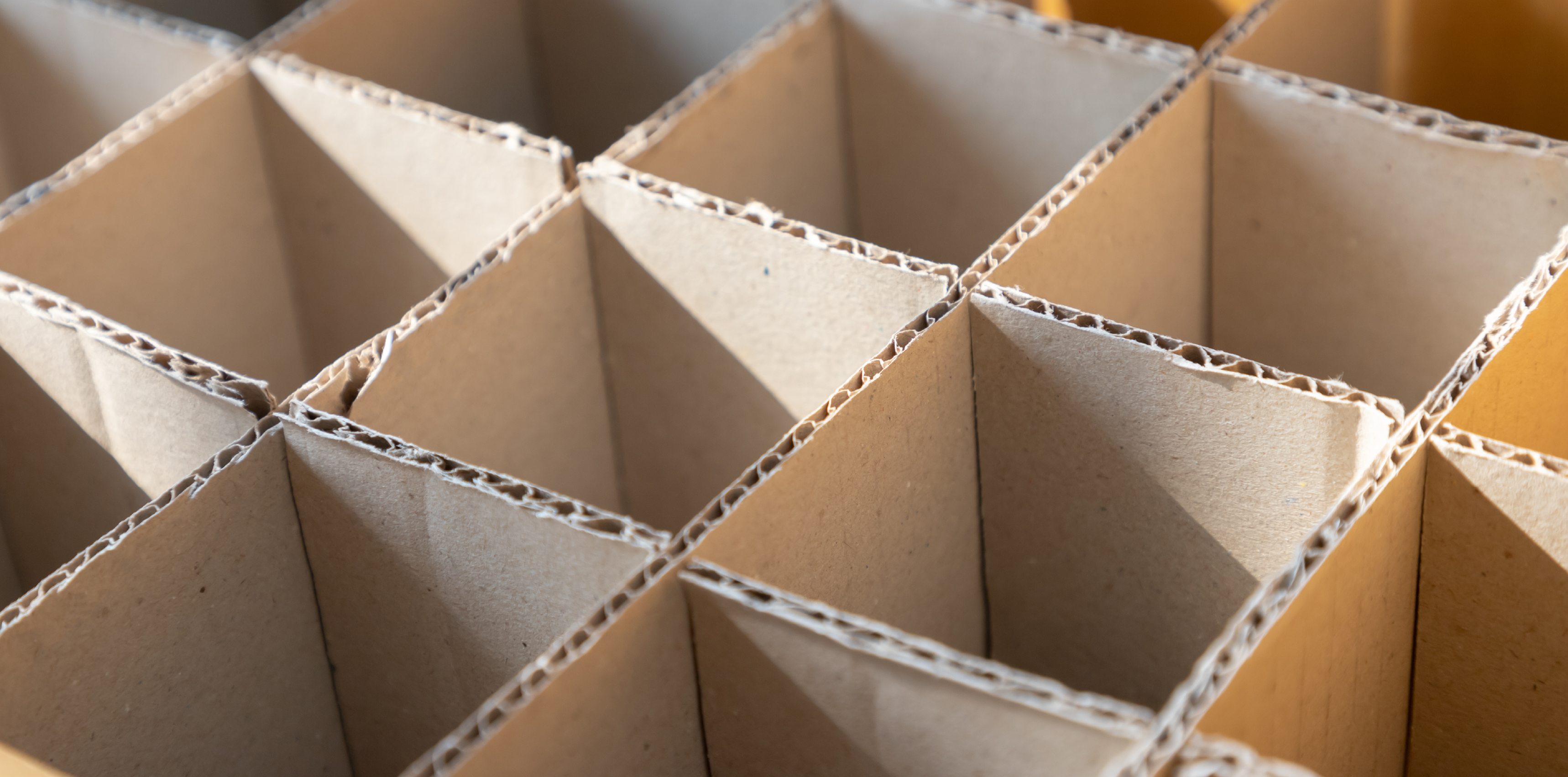 Evolución del cartón